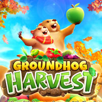 Groundhog Harvest