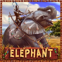  Elephant